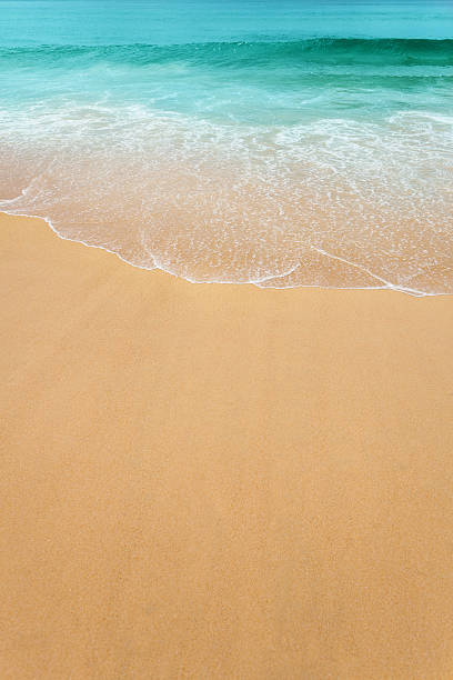 istock Tropical sea and clear beach sand 478735797