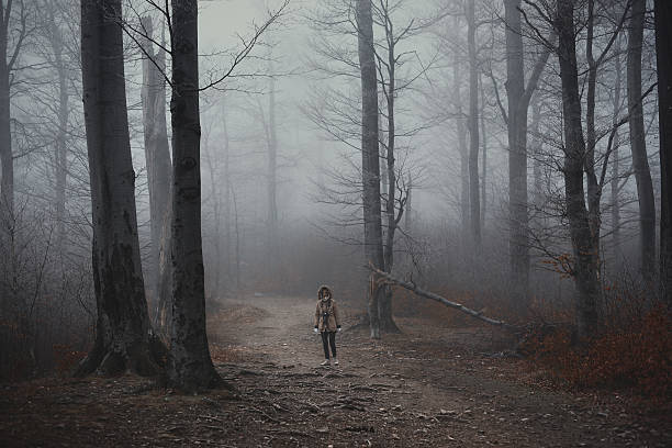 istock Photographer in the misty forest 478736605