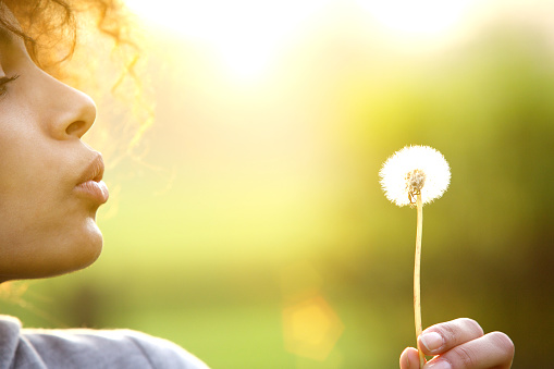 Close up portrait of a young woman blowing dandelion flower outdoors