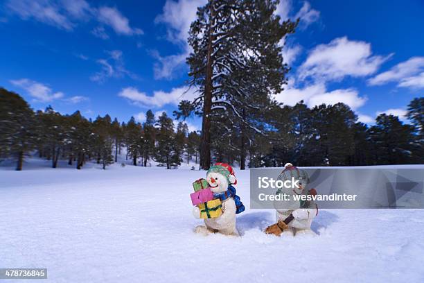 Snowmen In Field Stock Photo - Download Image Now - Agricultural Field, Blue, Box - Container