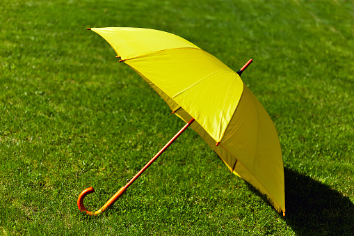 Yellow umbrella on the green grass