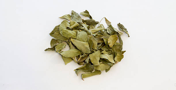 séchées feuilles de curry, isolé sur blanc - ayurveda india scented asian culture photos et images de collection