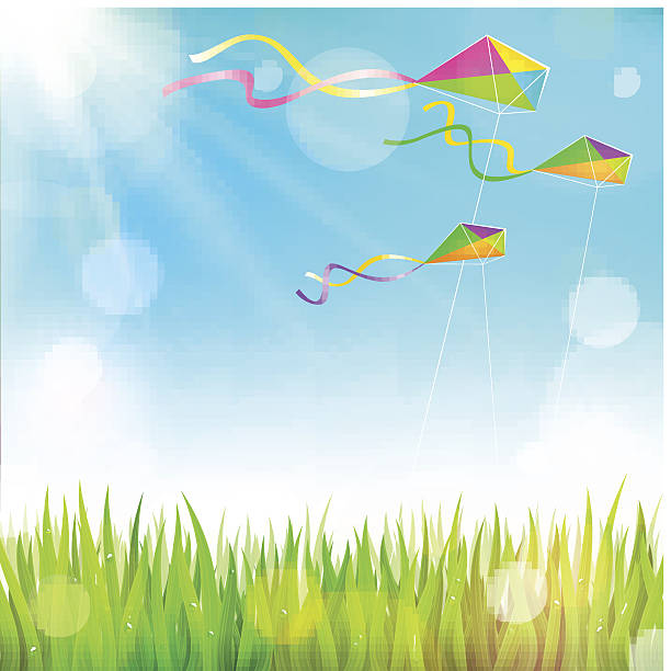 bildbanksillustrationer, clip art samt tecknat material och ikoner med summer landscape with grass and colorful kites the sky - flying kite