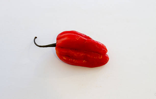 istock Red Habanero Pepper, isolated on white 478742753
