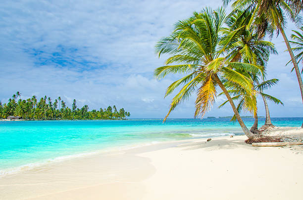 paradise tropical island - san blas bildbanksfoton och bilder