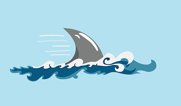 shark's end cartoon-style moving shark's fin in ocean waves animal fin stock illustrations