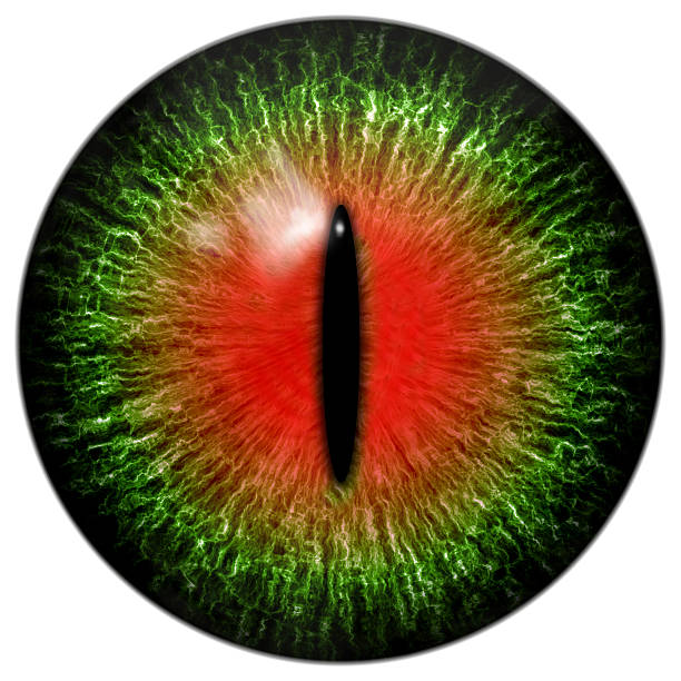 초록색입니다 아르카디아 자본가 또는 파충류 눈, 세폭 학생 - animal retina 뉴스 사진 이미지