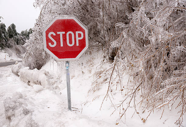 Droga Znak Stop omówione w ice – zdjęcie