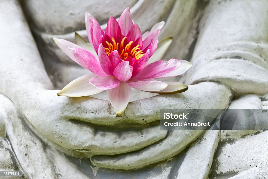 부처 손을 쥠 꽃, 클로즈업 - 로열티 프리 부처-불교 스톡 사진