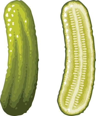 A whole green dill pickle and a cross section icons. No gradients or transparencies used in this file. Download includes an AI10 CMYK vector EPS as well as a high resolution RGB JPEG file.