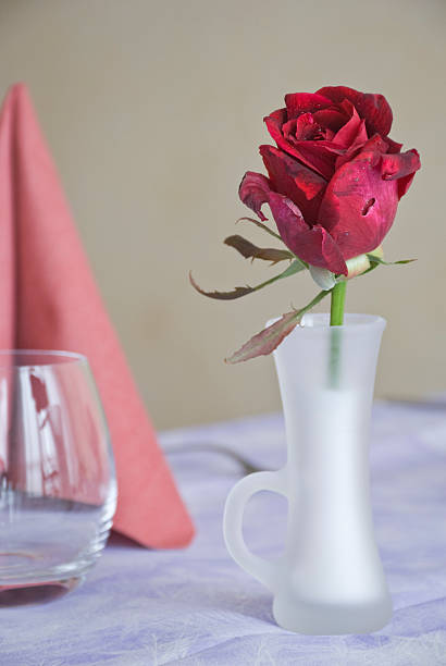 istock the rose in the jar with the handle 478770200