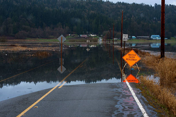 Flood waters over the road. Shot in the Snoqualmie Valley of Washington (near Seattle), March 10, 2014.