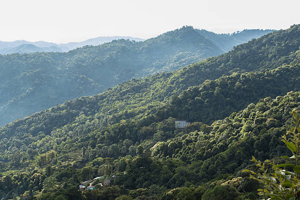 istock Landscape at Doi Pui, North Thailand 478774926