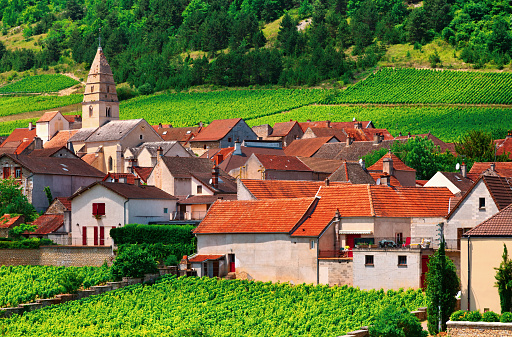 Burgundian Village, France