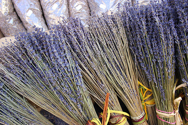 Bouquets of dry lavender for sale in Aix en Provence town, France