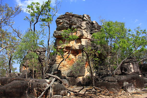 zagubione miasto, park narodowy litchfield, australia - wangi falls zdjęcia i obrazy z banku zdjęć