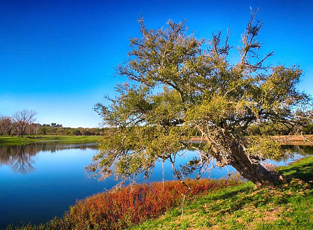 istock nice view of the lake 478776628