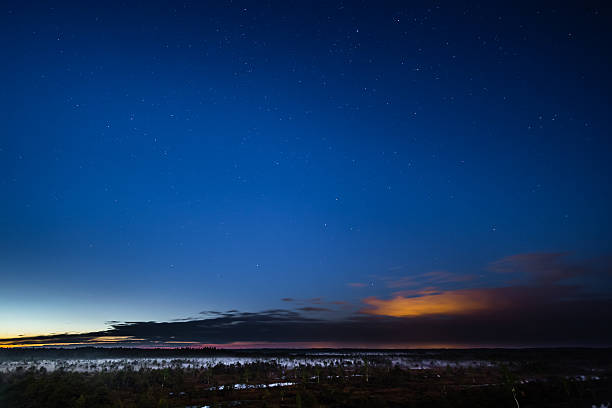 Swamp in the night stock photo