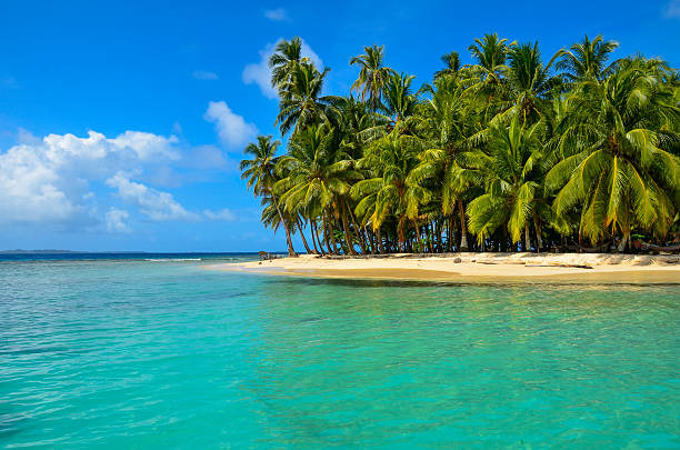 istock Paradise Tropical Island - San Blas archipelago in Panama 478779992