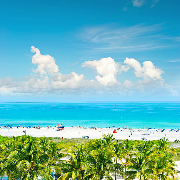 istock Blue sky, turquoise water, palm trees. Miami Beach, Ocean Drive 478780490