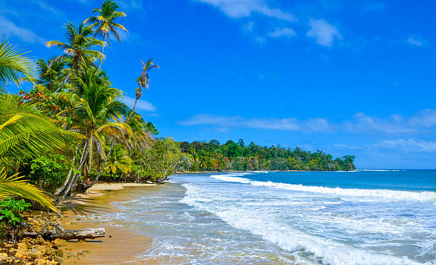 istock Paradise Tropical Island - Bocas del Toro - Island Colon 478780540
