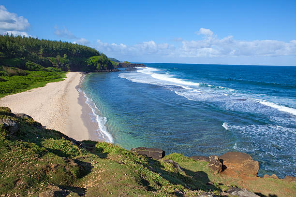istock Gris-Gris cape on South of Mauritius. 478782502