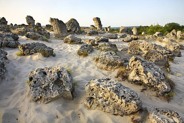 Pobiti Kamani (Stone forest) near Varna. Bulgaria