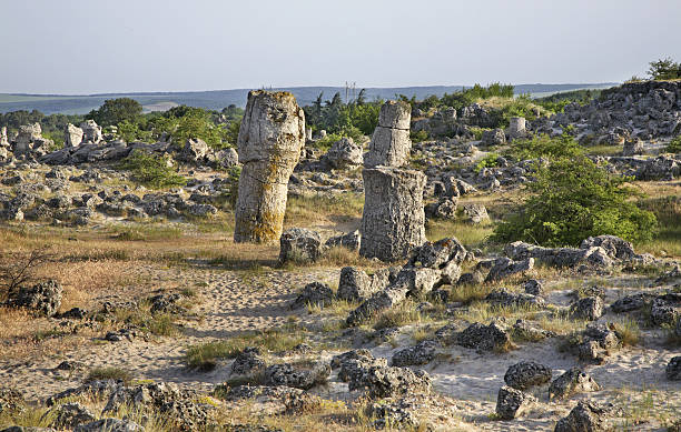 istock Pobiti Kamani (Stone forest) near Varna. Bulgaria 478783746