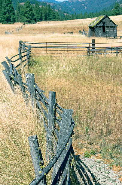 istock Corral in meadow of Cascade Mountains WA 478785876