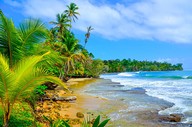 istock Paradise Tropical Island - Bocas del Toro - Island Colon 478786204