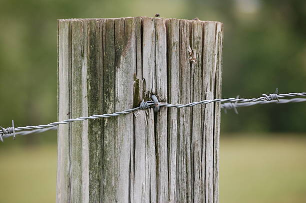 istock Farmland Fence Post 478787194