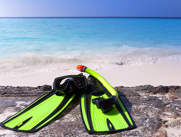 istock mask, flippers,  tube-lay on sand  background  ocean 478787654