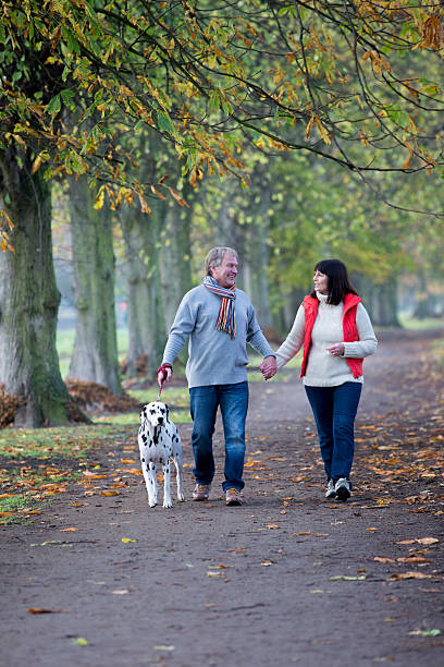 istock Mature Couple Walking the Dog 478788410