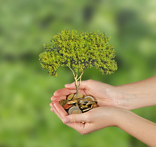istock Investing to green business 478791696