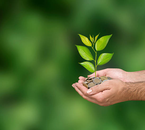 istock Investing to green business 478791702