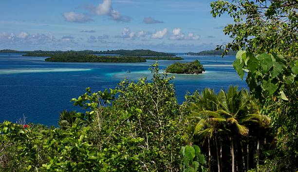 istock archipelago guraici, Halmahera, Maluku, Indonesia 478792056