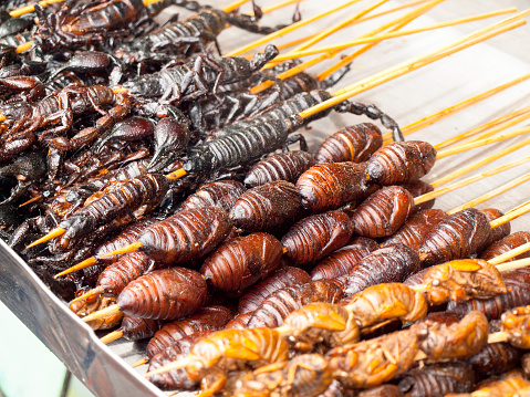 Roasted fried insects and scorpions and bugs as snack street food in China