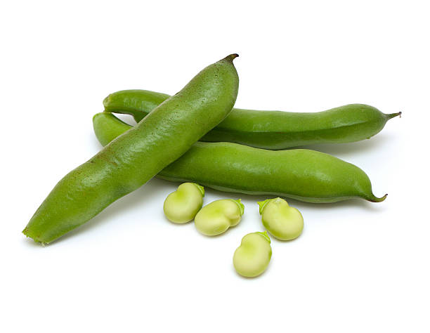 fava close-up - fava bean broad bean vegetable bean - fotografias e filmes do acervo