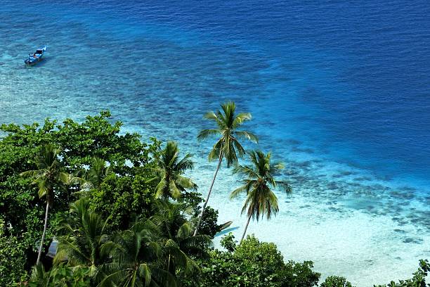 istock archipelago guraici, Halmahera, Maluku, Indonesia 478794772