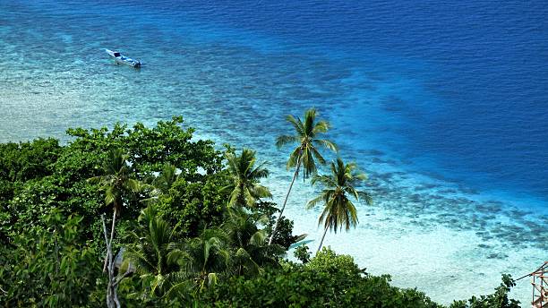 archipelago guraici, Halmahera, Maluku, Indonesia