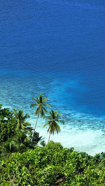 istock archipelago guraici, Halmahera, Maluku, Indonesia 478794780