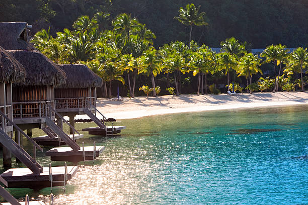 istock Morning on the tropical island 478795596