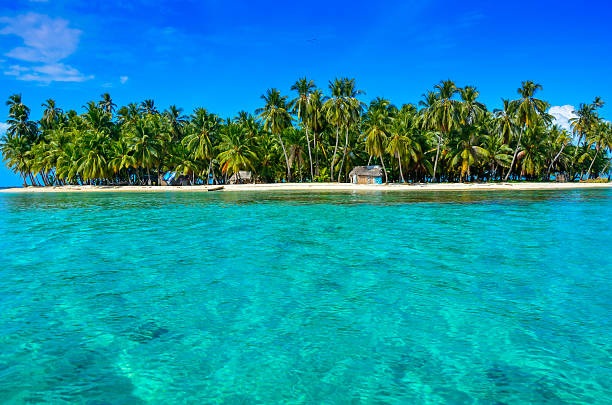 istock Paradise Tropical Island 478798244