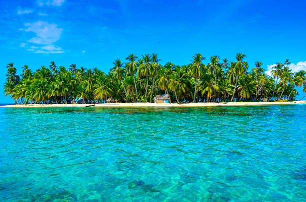 istock Paradise Tropical Island 478798246
