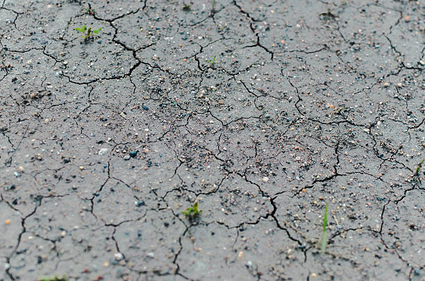 Close Up Detail Of Cracked Dry Ground Macro shot of a dry and cracked muddy area.  misshaped stock pictures, royalty-free photos & images