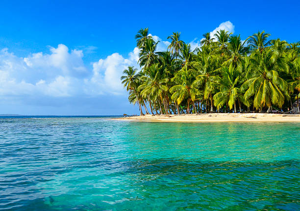 istock Paradise Tropical Island - San Blas archipelago in Panama 478800624