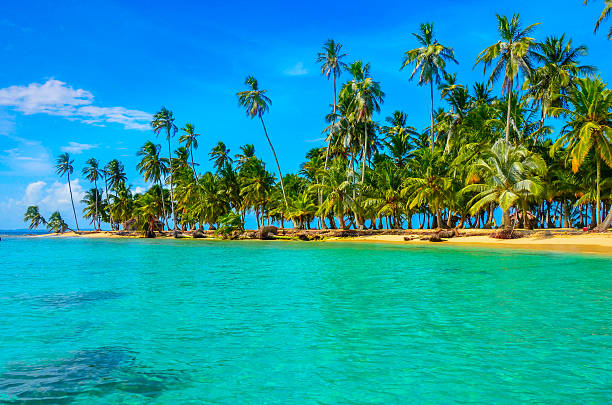 istock Paradise Tropical Island - San Blas archipelago in Panama 478801108