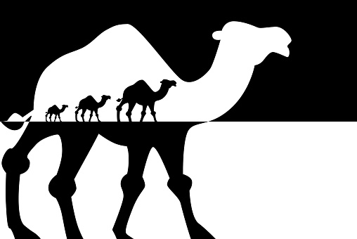Picture of a Caravan of camels, Travel concept
