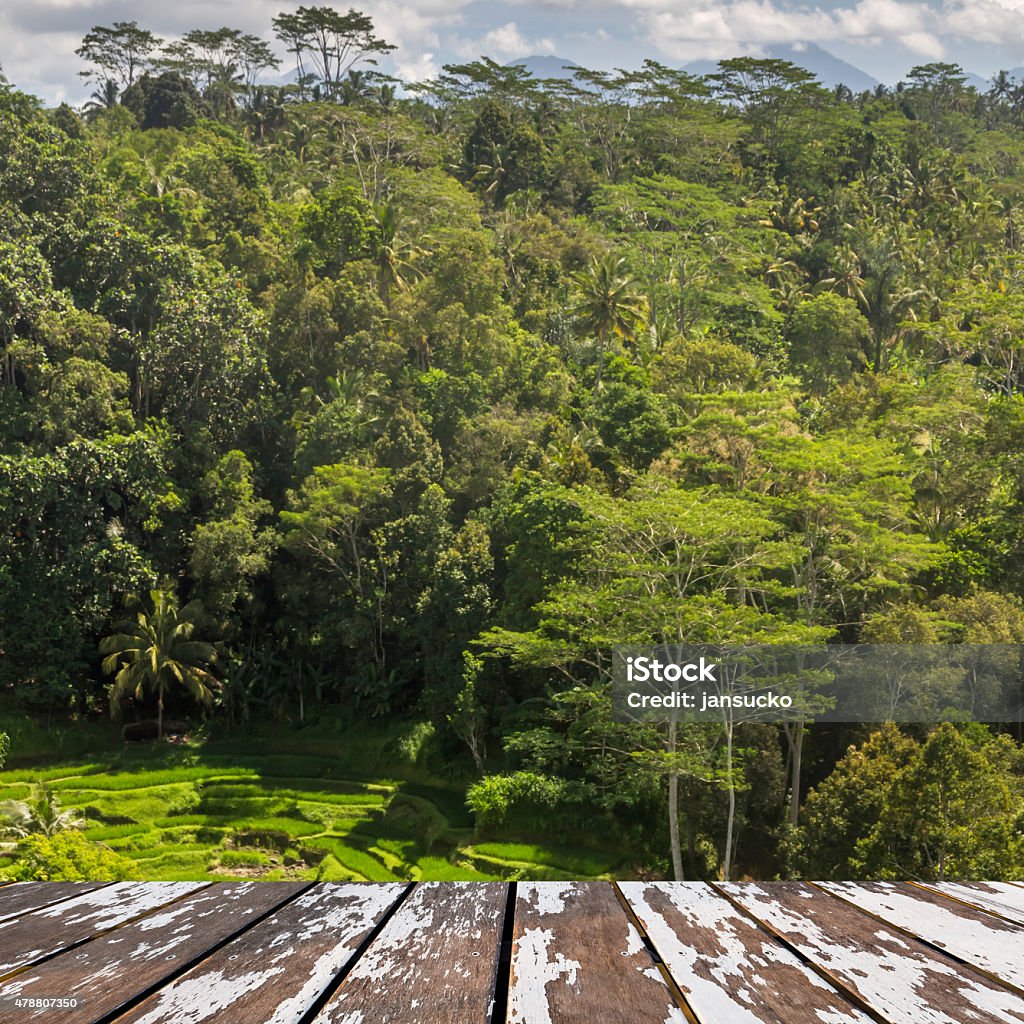 balinese landscape with wooden lath front balinese landscape with wooden lath front in summer time 2015 Stock Photo