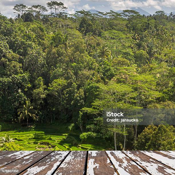 Balinese Landscape With Wooden Lath Front Stock Photo - Download Image Now - 2015, Abstract, Agriculture
